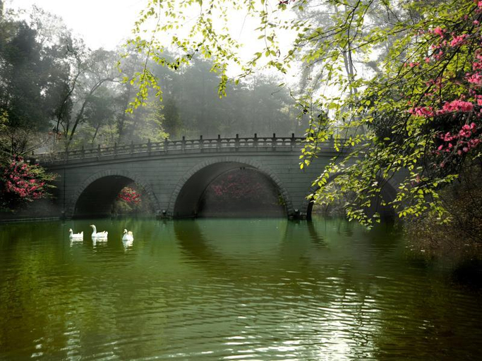 Sport & Beauty 2, Hongzhushan Hotel Mount Emei, Leshan