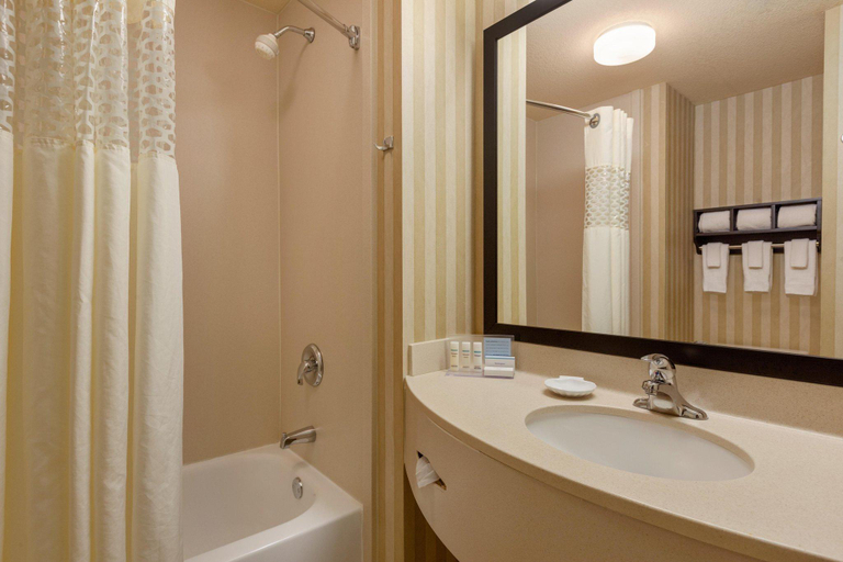 Bathroom 4, Hampton Inn St. Robert/Ft. Leonard Wood, Pulaski