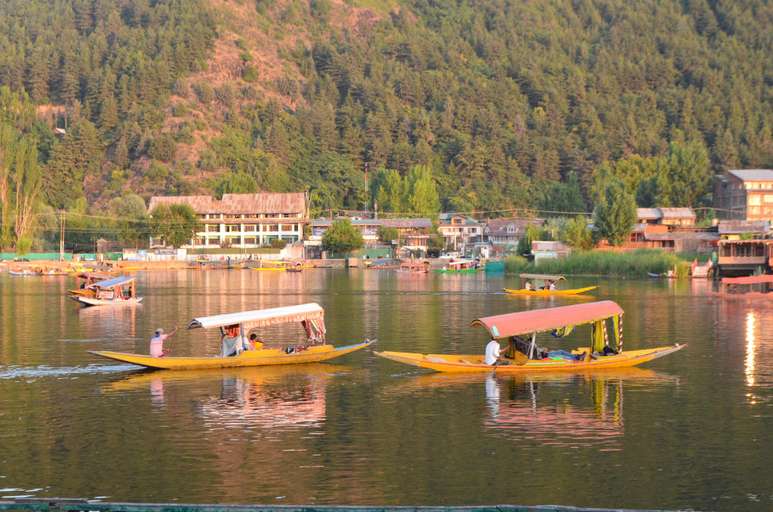 Others 5, New Alexandra Houseboats, Srinagar