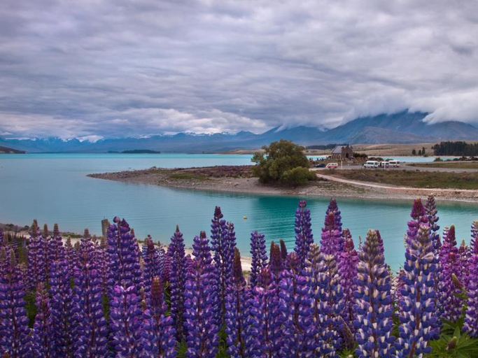 Others 5, Phoenix Motels, Timaru