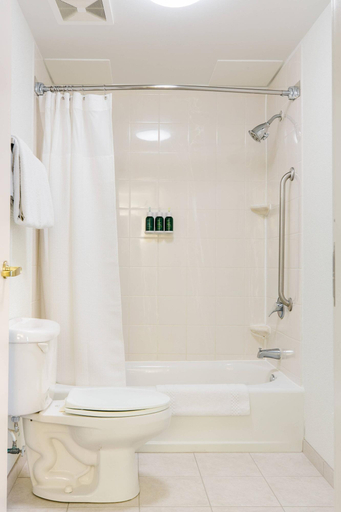 Bathroom 5, Springhill Suites By Marriott Florence, Florence