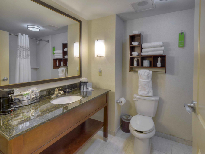 Bathroom 4, Hampton Inn by Hilton Columbus South Fort Benning, Muscogee