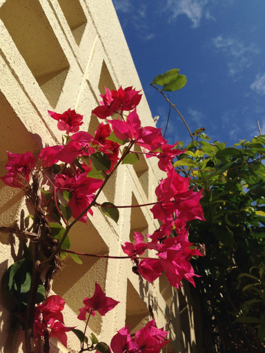 Others 3, Akachichi Guesthouse, Onna