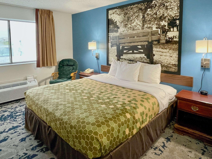 Bedroom 3, Travelodge by Wyndham Lamoni, Decatur