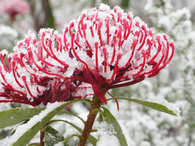 Others 5, Valley of the Waters Bed and Breakfast, Blue Mountains
