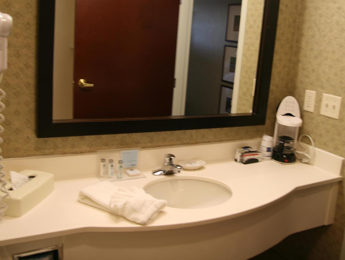 Bathroom 4, Hampton Inn & Suites Valparaiso, Porter