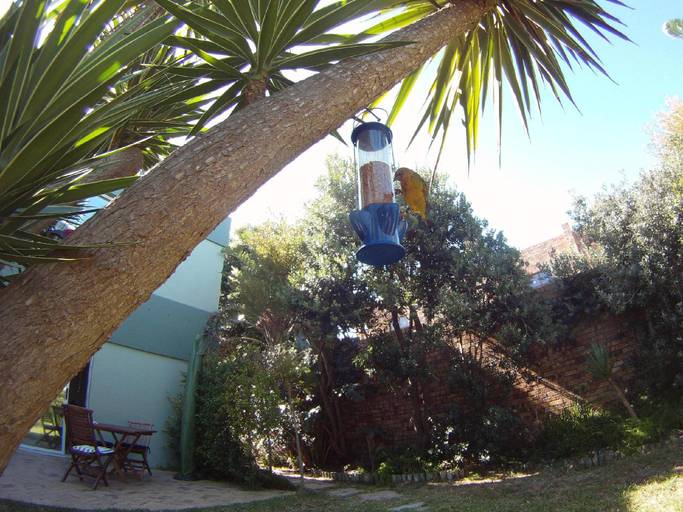 Others 5, Secret Garden Guesthouse, City of Cape Town