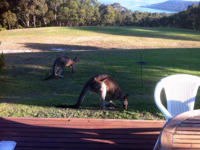 Others 4, Lorne Bush House Cottage & Eco Retreats, Surf Coast - West