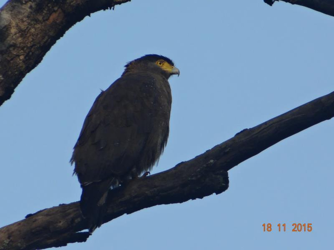 Others 4, Windsor Tiger Resort, Mandla