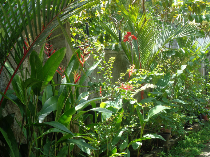 Others 5, Nooit Gedacht Holiday Resort, Habaraduwa