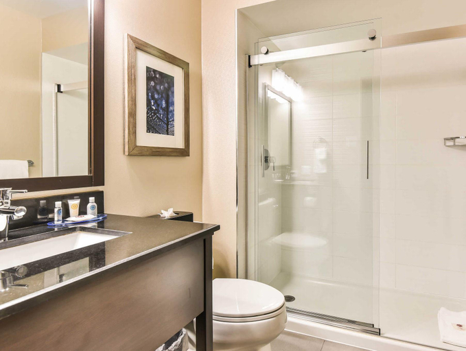 Bathroom 3, Comfort Inn Montreal Aeroport, Montréal