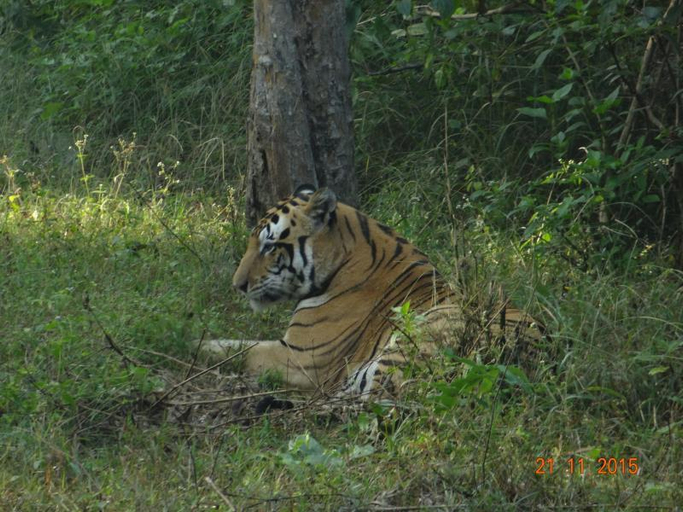 Others 3, Windsor Tiger Resort, Mandla