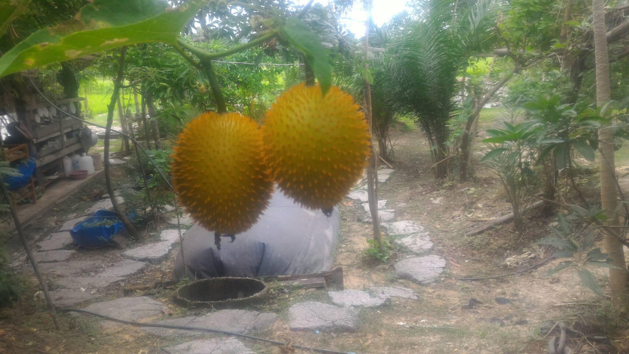 Others 4, Sukhothai City Resort, Muang Sukhothai