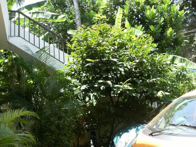 Others 5, Hotel Baywatch, Habaraduwa
