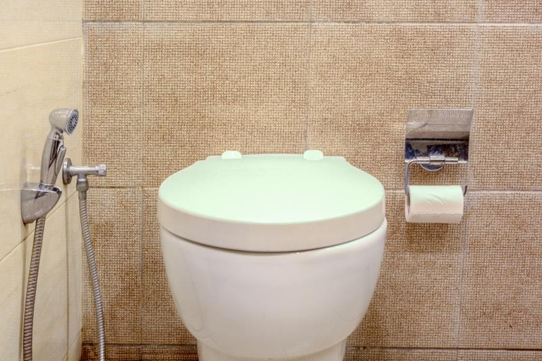 Bathroom 3, Hotel Dreamland Chandigarh, Panchkula
