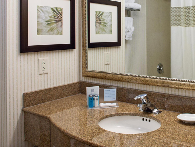 Bathroom 4, Hampton Inn & Suites by Hilton Toronto Airport, Peel