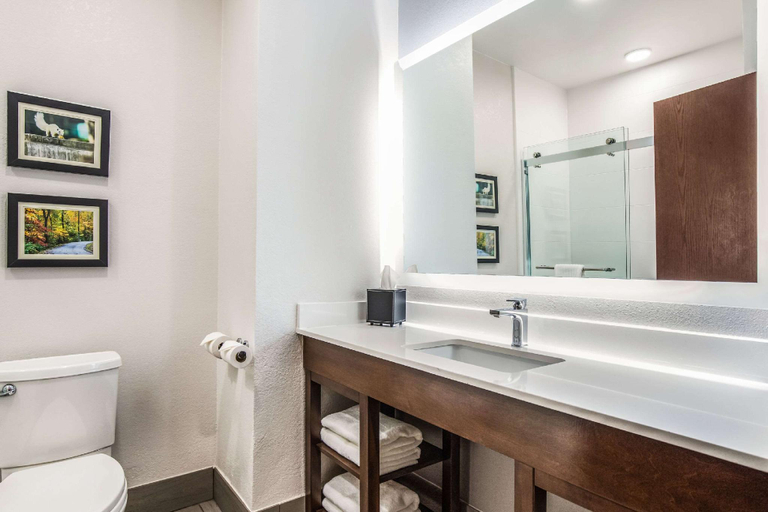 Bathroom 4, Comfort Inn & Suites Brevard, Transylvania