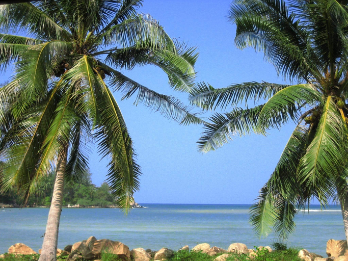 Others 5, Wattana Resort, Ko Phangan