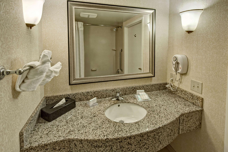Bathroom 3, Hilton Garden Inn Indianapolis Northeast/Fishers, Hamilton