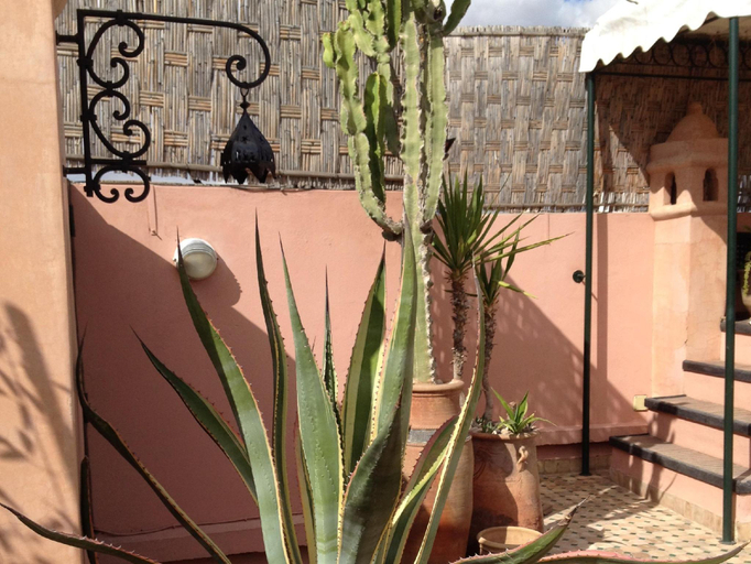 Public Area 3, Dar Sohane, Marrakech