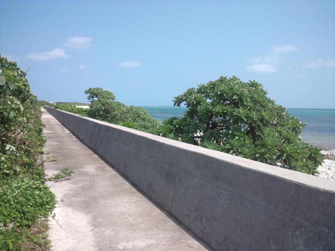 Others 4, Shirahonoyado Aoiumi, Ishigaki