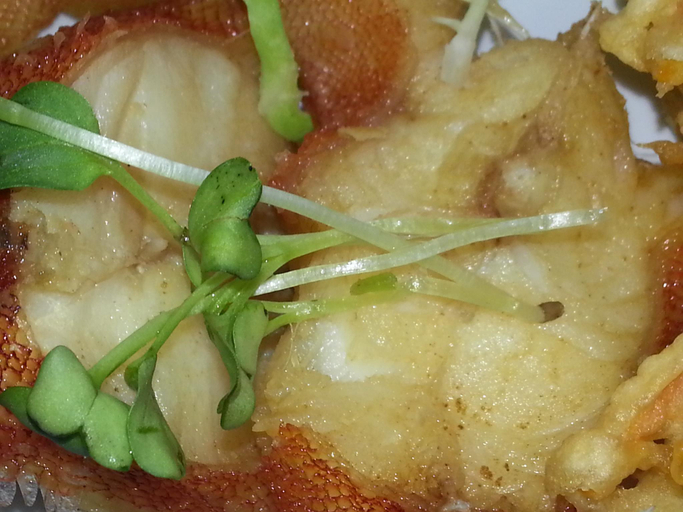 Food & Drinks 4, Minshuku Myojoso, Yoron