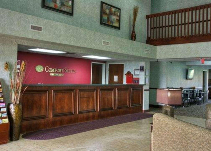 Public Area 2, Comfort Suites Danville, Boyle