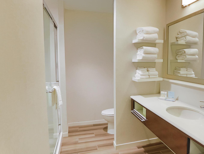 Bathroom 4, Hampton Inn & Suites Charlotte Ballantyne, Mecklenburg