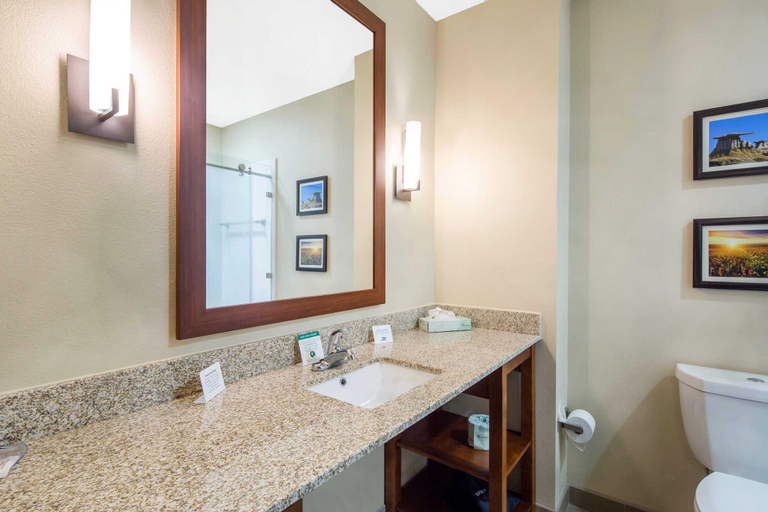 Bathroom 4, Comfort Inn & Suites Edgewood, Santa Fe