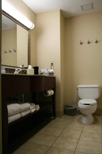Bathroom 4, Hampton Inn Fort Stockton, Pecos