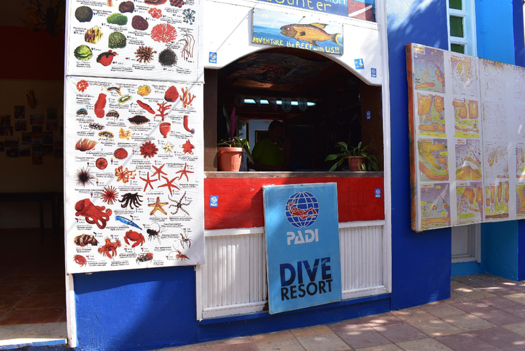Public Area, Bedouin Garden Village, Aqaba