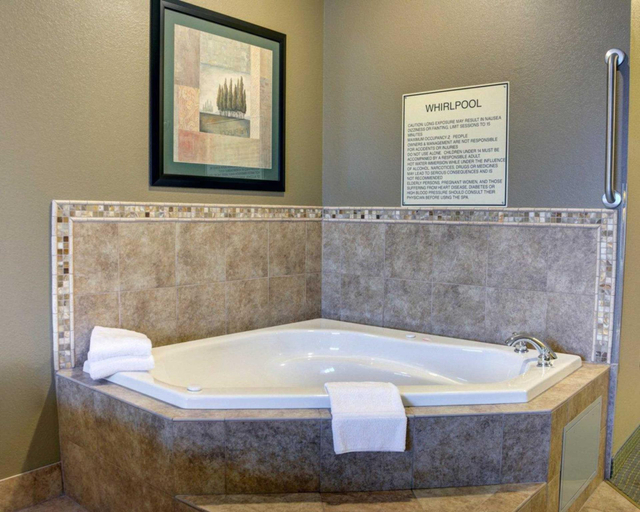 Bathroom 4, Comfort Inn & Suites Russellville I-40, Pope