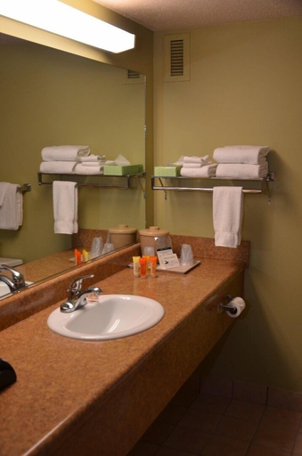 Bathroom 4, Tawas Bay Beach Resort, Iosco
