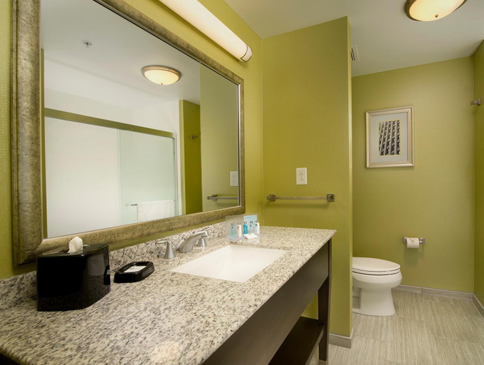 Bathroom, Hampton Inn & Suites Buffalo/Airport, Erie