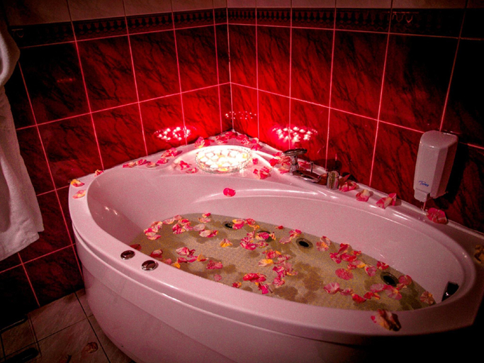 Others 3, Premiere Luxe Hotel, Sankt-Peterburg gorsovet