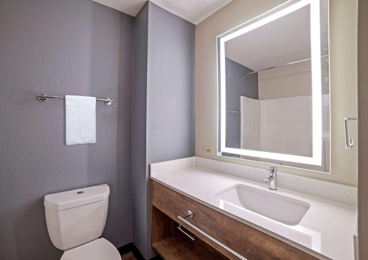 Bathroom 4, Extended Stay America Premier Suites Nashville Vanderbilt, Davidson