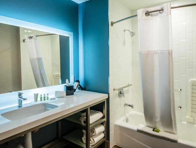 Bathroom 4, Cambria Hotel Downtown Asheville, Buncombe