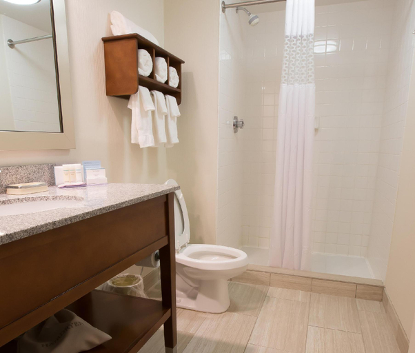 Bathroom 4, Hampton Inn & Suites Mooresville/Lake Norman, Iredell