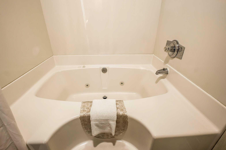 Bathroom 4, Quality Inn & Suites Mt. Chalet, Rabun