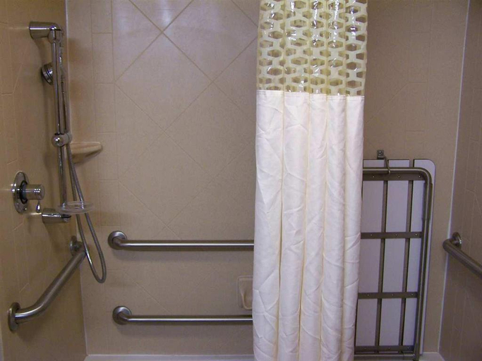 Bathroom 4, Hampton Inn & Suites Florence-Downtown, Lauderdale