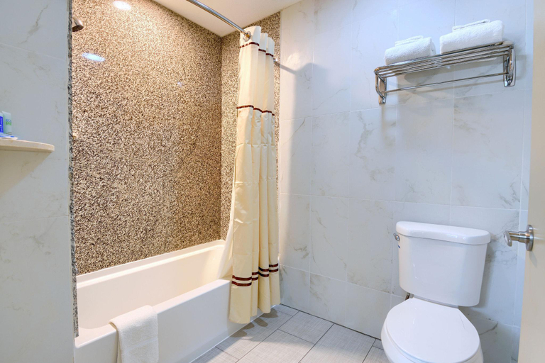 Bathroom 3, Hotel Ithaca South, Tompkins