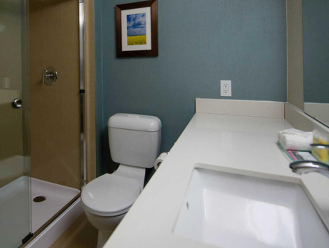 Bathroom 2, Clarion Hotel & Suites, Division No. 7