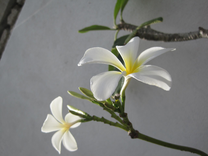 Others 3, crescent resort, Habaraduwa