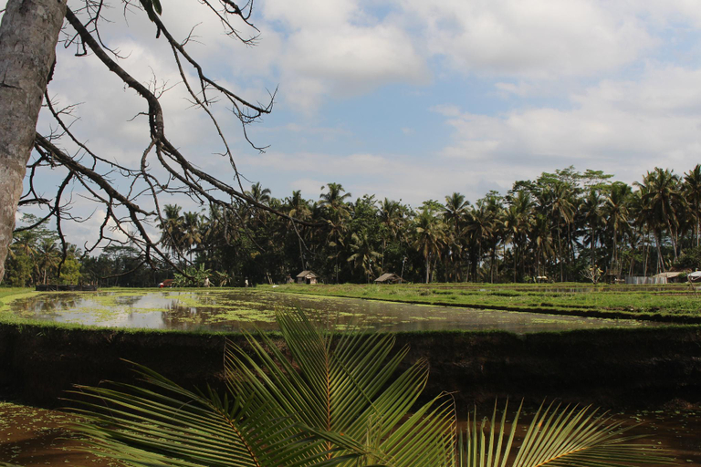 Others 3, Vihaan Villa Ubud, Gianyar