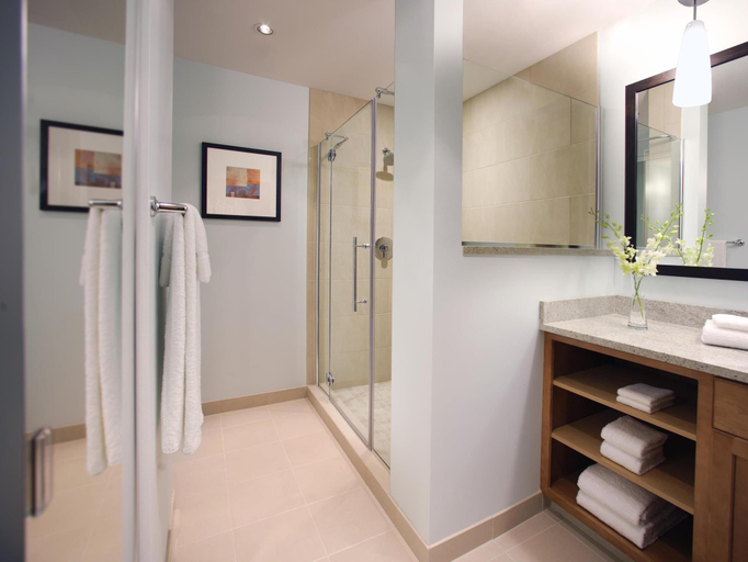 Bathroom 4, HYATT house Chicago/Naperville/Warrenville, Dupage