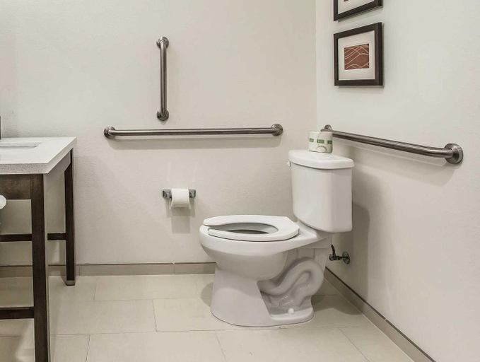 Bathroom 4, Comfort Inn & Suites Snyder, Scurry
