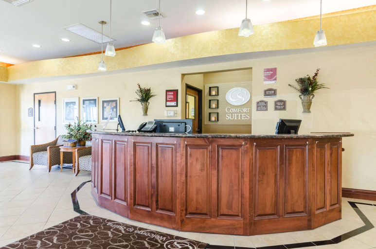 Public Area 2, Comfort Suites Salina South, Saline