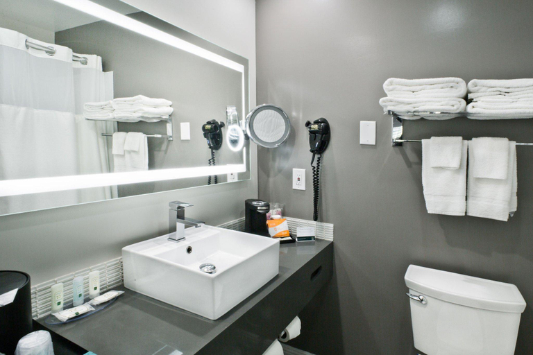 Bathroom 3, Bay Area Inn & Suites, Alameda