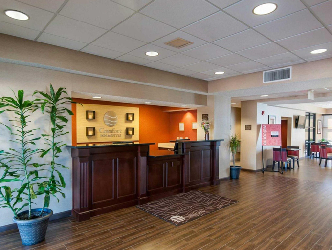 Public Area 2, Comfort Inn & Suites LaGrange East, Troup
