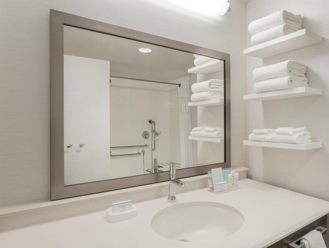 Bathroom 3, Hampton Inn & Suites West Des Moines/SW-Mall Area, Dallas